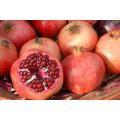 Pomegranate Seed Oil - Punica granatum - 100% pure cold pressed - 200ml