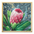 Adult Paint by Numbers with Frame - Queen Protea