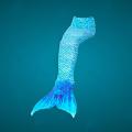 Mermaid Tail Swimsuit (Adult/Teen Size) Blue | JP30 - M