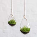 Raindrop Glass Hanging Planter - Small - 25cm