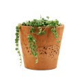 String of Pearls in Terracotta