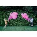 Gender Reveal Colour Run Smoke Canon  Pink