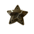 Danny home metal cookie cutter star
