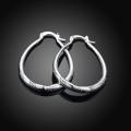 Lucky Silver - Silver Designer Oval Hoop Paved Earrings _ LOCAL STOCK - LSE294
