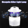 Photocatalyst Mosquito Control Lamp