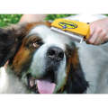 Deshedding Tool for Large Dogs
