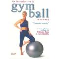 Gym Yoga Fitness Ball 60CM