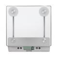 Salter Aquatronic Glass Digital Kitchen Scale (Stainless Steel)