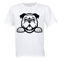 Bulldog Peeking - Adults - T-Shirt