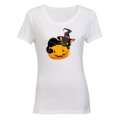 Cat on a Pumpkin - Halloween - Ladies - T-Shirt
