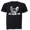 Peeking French Bulldog - Adults - T-Shirt
