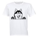 Husky Peeking - Adults - T-Shirt