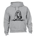 Peeking Bloodhound - Hoodie