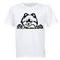 Toy Pomeranian - Peeking Dog - Adults - T-Shirt