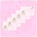 Note Cards And Envelopes 5 African Roller Pack