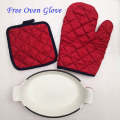 French Cast Iron Enamel Oval Baking Pan Lasagna Pan with Free Gift Oven Glove