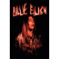 Billie Eilish Red Zone Poster