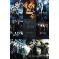 Harry Potter Collectors Edition Poster