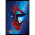 Spider-Man Homecoming - Hanging - Poster - Poster only