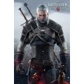 The Witcher 3 - Wild Hunt Poster