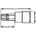 1/2inch Drive Spline (XZN) Socket Bit 12mm