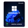Microsoft Windows 11 Pro (CRAZY AUCTION SPECIAL !)