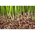 Horticultural Vermiculite - 500g