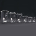Glass Beakers Low Form