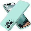 Pink and Turquoise Liquid Silicone Cover for iPhone 12 Pro Max