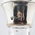 Hallmarked Silver Topped Bohemian Glass Decanter