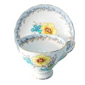 Tuscan China Yellow and Blue Floral Duo C9860