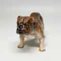 Royal Doulton Bulldog Standing Figurine HN1044