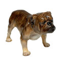 Royal Doulton Bulldog Standing Figurine HN1044
