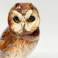 Royal Doulton Short Eared Owl 1984