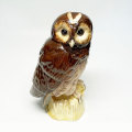 Royal Doulton Tawny Owl 1984