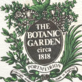 Portmeirion Botanic Garden Dessert Trailing Bindweed