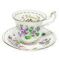 Royal Albert  Series Flowers of the Month Miniature Duo February