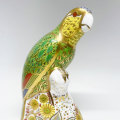 Royal Crown Derby  Amazon Green Parrot Paperweight