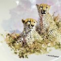 Wedgwood David Shepherd Cheetah Wildlife Collection Plate