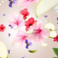 Hibiscus Love - Lampe Berger Fragrance