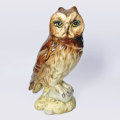 Royal Doulton Series of Scottish Short Eared Owl Decanter