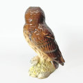 Royal Doulton Series of Scottish Short Eared Owl Decanter