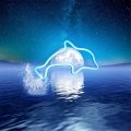FA-A34 Cute Dolphin Neon Sign Lamp USB And Battery Operated