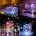 ZYF-89 Copper Wire  Battery Operated Fairy Light RGB 5M
