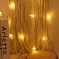 ZYF-61 Moon Hugging Star LED Fairy String Lights With Tail Plug Extension Warm White 5M