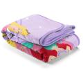 Disney Princess - Beauty is Within Sherpa Throw