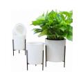 The Urbanist - White Self-watering Pots With Iron Stand - Large
