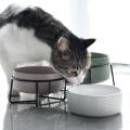 Good Boys - Medium Ceramic Pet Bowl With Wire Stand - 15.5cm/850ml - Green