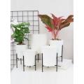 The Urbanist - White Self-watering Pots With Iron Stand - Large