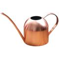 Stainless Steel Watering Can - 500ml - Rose Gold
